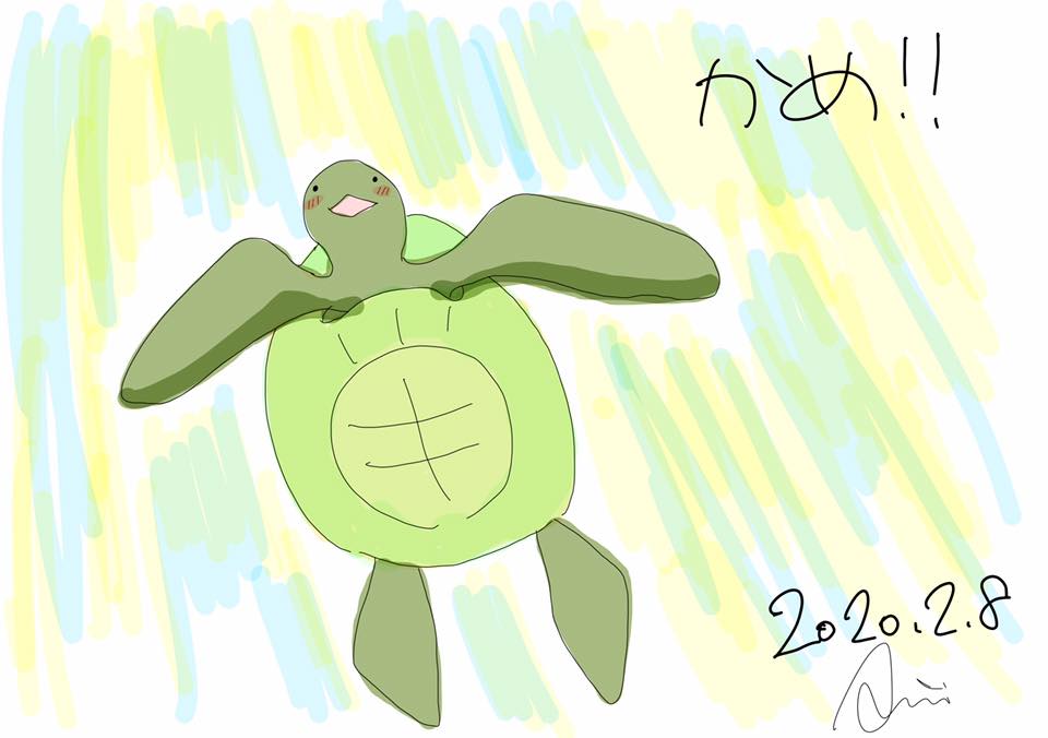 タートル・トーク