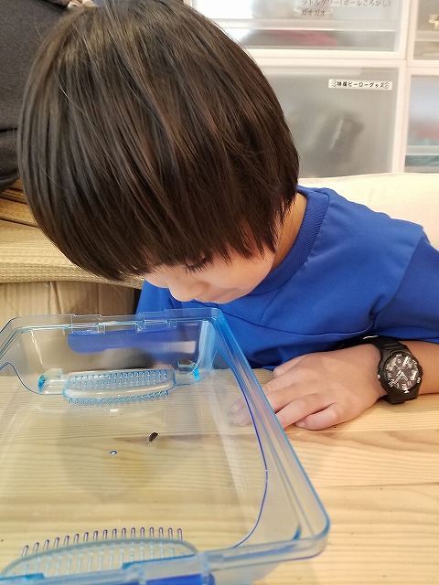 キッズコネクション