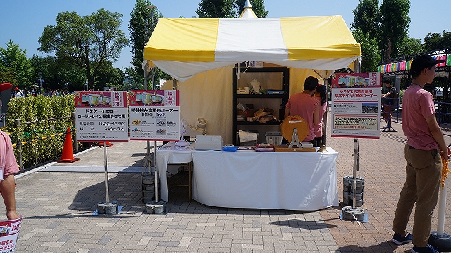 キッズコネクション
