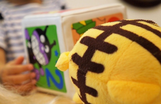 キッズコネクション