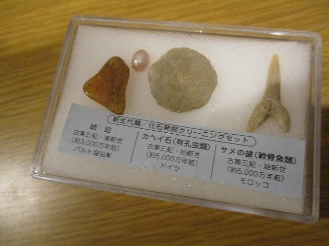 キッズコネクション