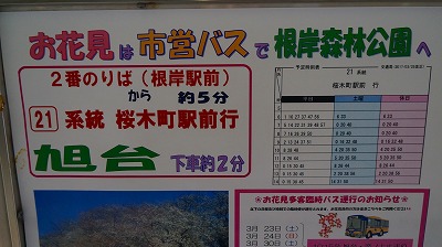 キッズコネクション