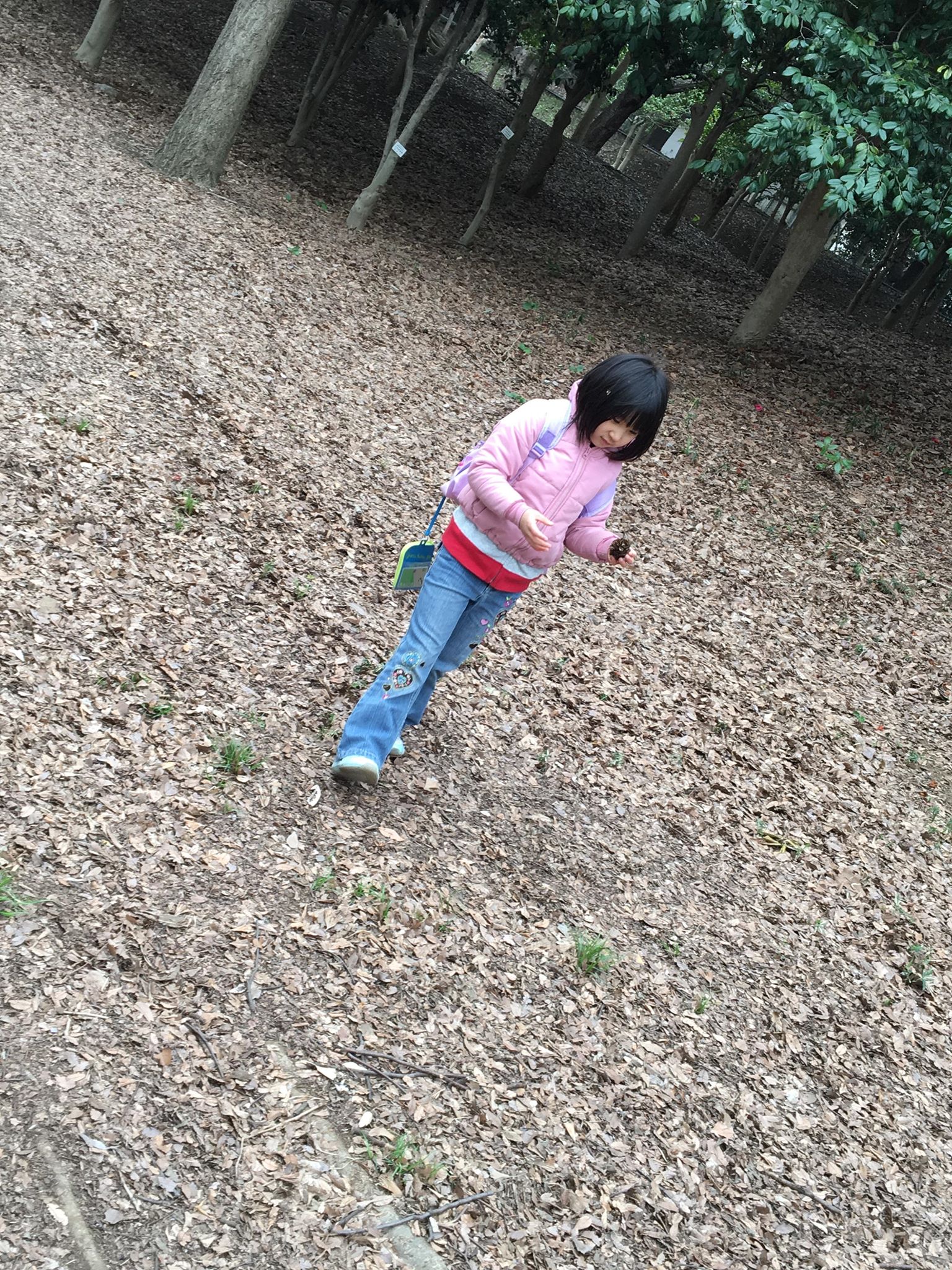 キッズコネクション