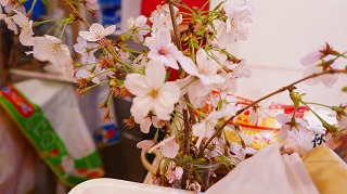 キッズコネクション