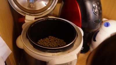 キッズコネクション