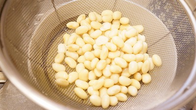 キッズコネクション