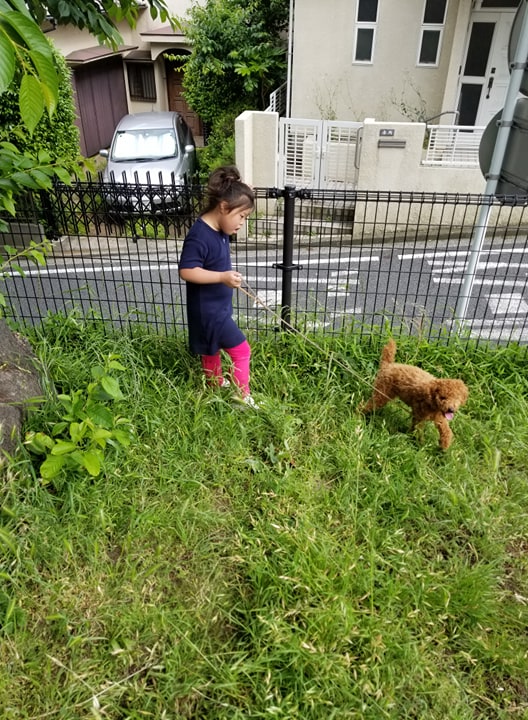 キッズコネクション