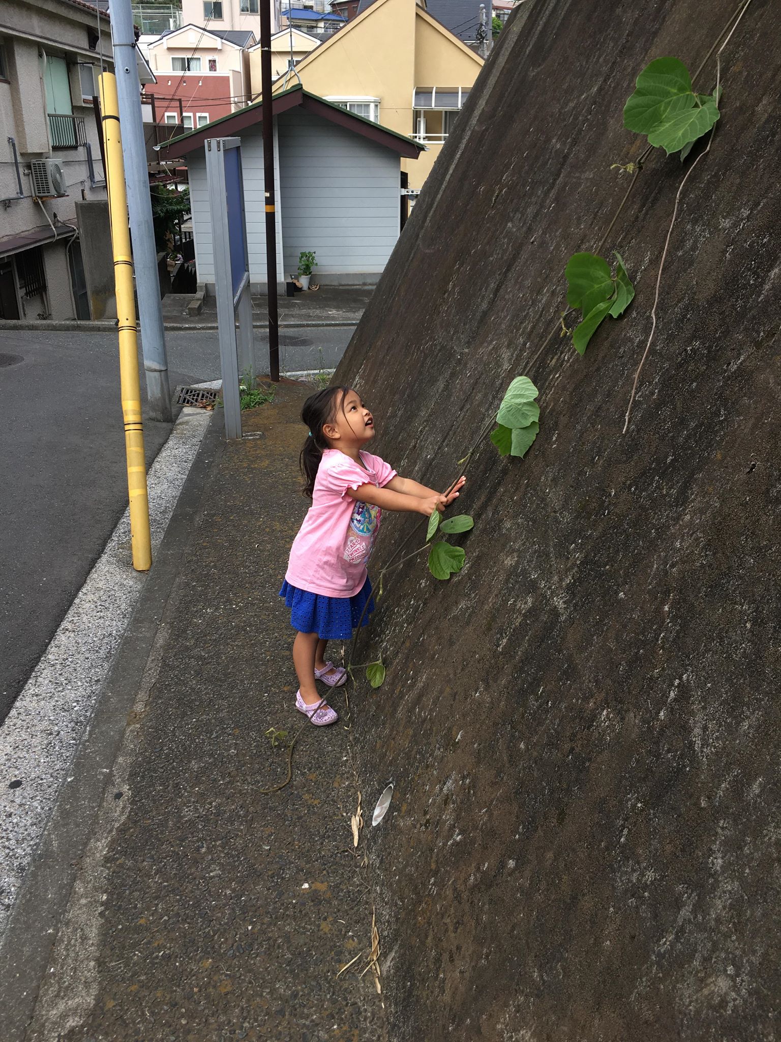 キッズコネクション