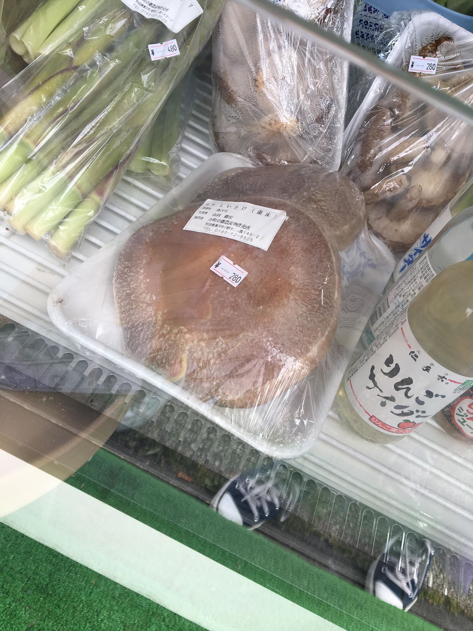 キッズコネクション